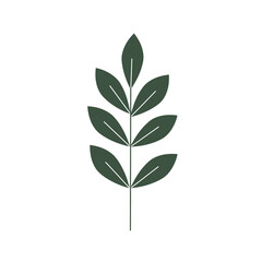 Minimalist Mid Century Modern Flower Vector Illustration on White Background.