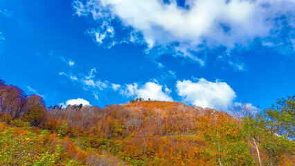 View of a mountainside ablaze with autumn colors and blue sky