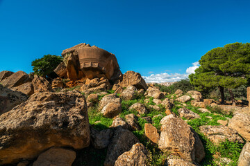 Ancient Ruins Surrounded by Lush Greenery in Sicily, Italy