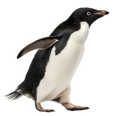 Fototapeta premium Ad-lie-penguin AI Generated Image
