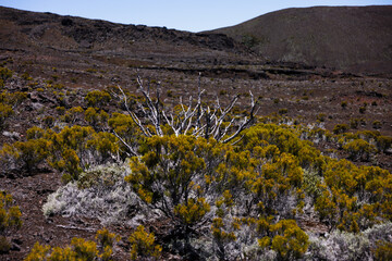Volcanic Terrain Reunion Island