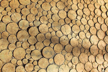 durable wooden floor for outdoors, made from sawn-off tree slices