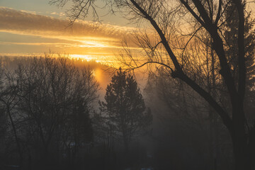 Zimowy poranek © Katarzyna