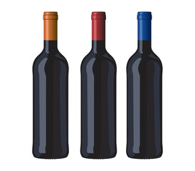 Wine bottles classic shape vector image