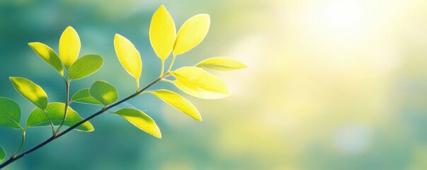 Obraz premium Vibrant Green Leaves Branch Sunlight Nature Spring Summer Fresh Growth Background