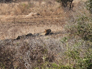 Game Reserves 3 