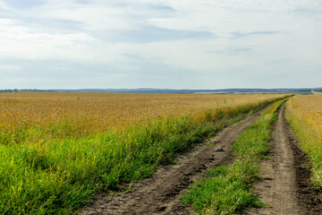Fototapeta premium Vast open landscape featuring a dirt road winding through lush fields during a calm day.