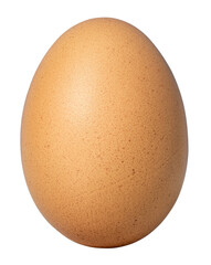 Close up of brown chicken egg isolated on transparent background