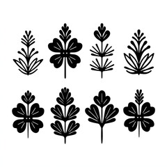 Set of Botanical Decorative Vector Patterns with flowers, leaves and stems, black and white line drawing icons for design 