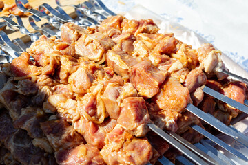 Juicy skewers of marinated meat prepared for grilling in a sunny outdoor setting.