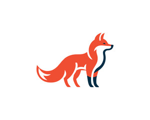 Colorful fox logo design icon symbol vector illustration