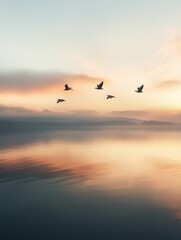 Fototapeta premium Korean winter migratory birds 
