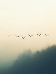 Korean winter migratory birds