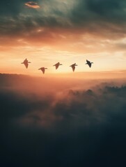 Korean winter migratory birds
