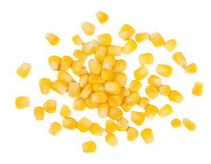 Ripe corn kernels falling on transparent background