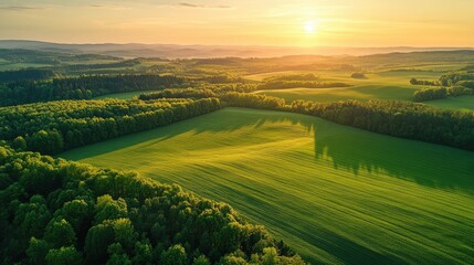 Naklejka premium Aerial view of lush green fields and forests at sunset showcasing vibrant colors with ample space for text overlay and creative design