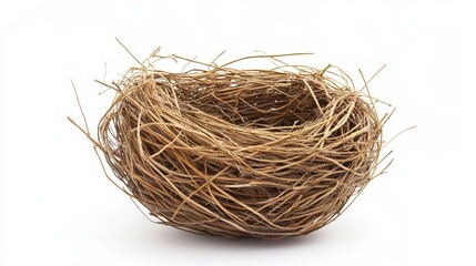 Obraz premium Tangled Beauty: A Natural Haystack's Intricate Texture