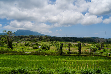 Naklejka premium Bali, Indonesia - October 22, 2024: Maha Gangga Valley Restaurant view.Terraces view.