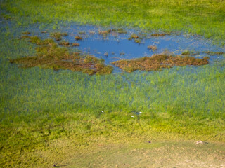 Landscape in Botswana.