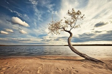 A solitary tree gracefully stands on a sandy shore, framed by dramatic clouds, encapsulating the juxtaposition of resilience and nature's dynamic beauty in a breathtaking scene.