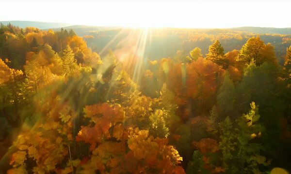 Aerial shot flying through an autumn forest with golden, red, and orange leaves, with morning sunlight filtering through the canopy, creating a magical nature's beauty. 