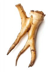 Naklejka premium Raw parsnip root vegetable isolated on white background, food ingredient, cooking.
