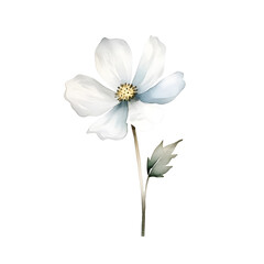 Naklejka premium Minimalist Watercolor of a Single Spring Flower on a White Background