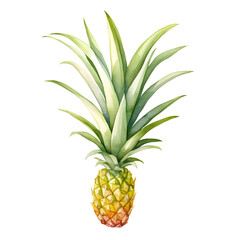 Fototapeta premium Minimalist Watercolor Pineapple Plant on White Background