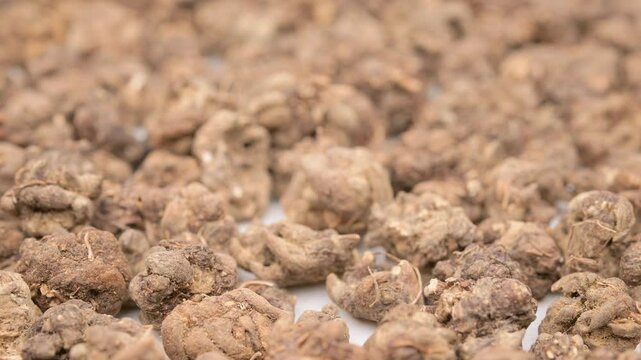 angle view herb MaoZhuaCao or Radix Ranunculi Ternati or Ranunculus Ternatus Root or Catclaw Buttercup rotating at horizontal