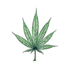 Detailed Cannabis Leaf Illustration, Green Background.