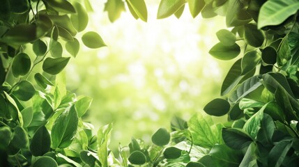 Obraz premium Green Leaves Frame