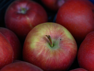 Vibrant apples clustered together in a rustic basket showcasing their fresh allure