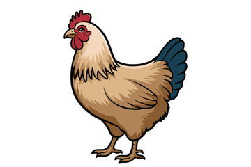 Fototapeta premium rooster isolated on white background