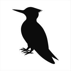 silhouette of a bird