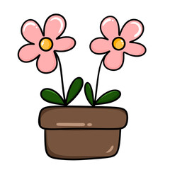 flower in a pot
