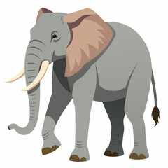 Obraz premium Vector illustration of a Walking Elephant on a White Background - Vector Art