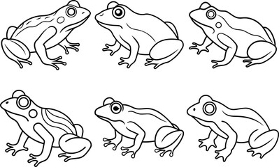 Set of Minimalist Black outline of a Frog - Vector Illustration