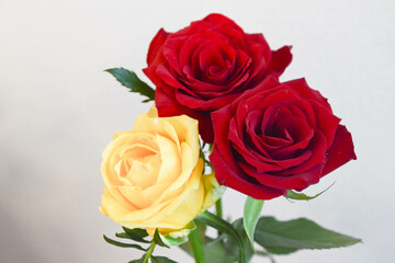 赤と黄色のばら
