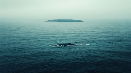 Fototapeta premium blue whale surfaces near an uninhabited island, its solitary journey through the ocean uninterrupted