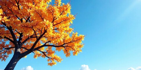 Branches of a deciduous tree against blue sky, scenery, branch