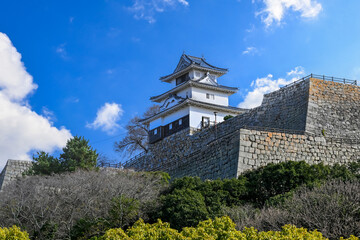 Fototapeta premium 石垣の名城 丸亀城