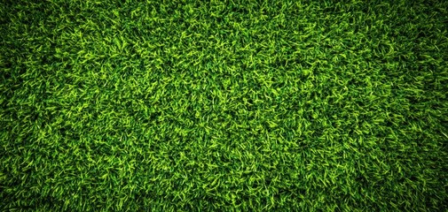 Fototapeta premium Lush green grass covering the ground creates a vibrant and refreshing natural landscape for outdoor activities.