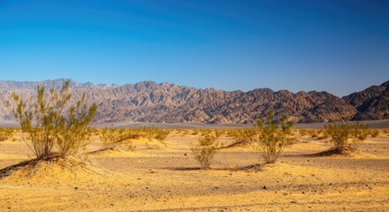 Arid desert landscape with distant mountains and sparse vegetation under clear blue sky