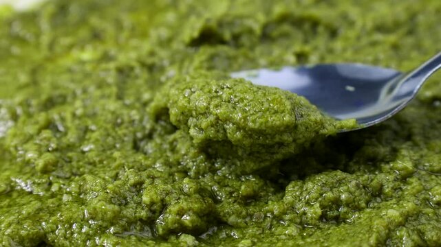 Green homemade basil pesto sauce taking by a spoon close up