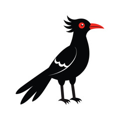 hoopoe bird black color.eps