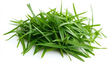 Fototapeta premium Fresh green grass tuft on clean white background