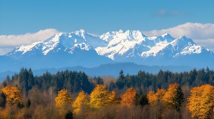 Snow-capped mountain range, distant peaks, clear blue sky, autumn forest, golden foliage, evergreen trees, layered landscape, crisp autumn day, majestic alpine scenery, vibrant fall colors, natural 