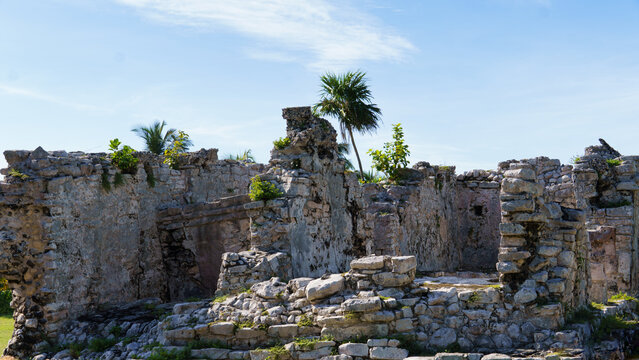 Tulum Ruinen Mexico, Yukatan 2024