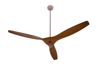 Electric ceiling fan