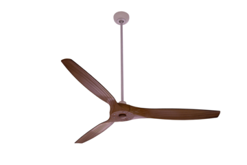 Electric ceiling fan